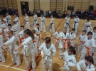 50063325_557006558150304_6923748638501896192_n
