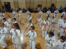 50255234_1252829621540082_6201870648722063360_n