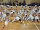 50259527_586990558395681_5353680857632604160_n
