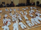 50270037_355616264989669_5275132678952189952_n