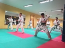49342380_357941088356773_8356645304354734080_n