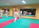 50439780_2114948638835474_7438446605742637056_n