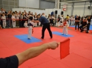 31206451_1651614674952265_3388073926268551168_o