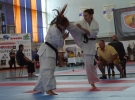 27 Mistrzostwa Europy Karate Kyokushin IKO w Kijowie