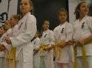 Puchar Europy 2015