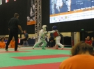 Puchar Europy 2015