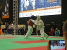 Puchar Europy 2015