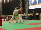 Puchar Europy 2015