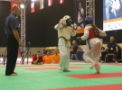 Puchar Europy 2015