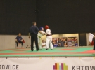 Puchar Europy 2015