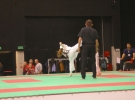 Puchar Europy 2015