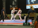 Puchar Europy 2015