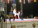 Puchar Europy 2015