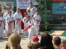 Pokaz Karate na Pikniku Rodzinnym przy ZSS nr 1