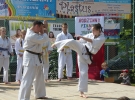 Pokaz Karate na Pikniku Rodzinnym przy ZSS nr 1