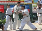 Pokaz Karate na Pikniku Rodzinnym przy ZSS nr 1