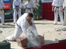 Pokaz Karate na Pikniku Rodzinnym przy ZSS nr 1