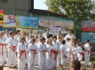 Pokaz Karate na Pikniku Rodzinnym przy ZSS nr 1