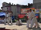 Pokaz Karate