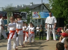 Pokaz Karate