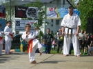 Pokaz Karate