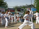 Pokaz Karate