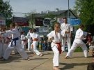 Pokaz Karate