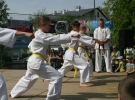 Pokaz Karate