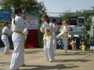 Pokaz Karate