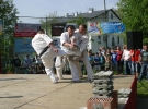 Pokaz Karate