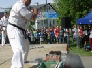Pokaz Karate
