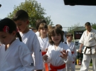 Pokaz Karate