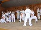 Pokaz Karate