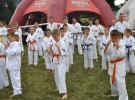 Pokaz Karate