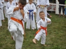 Pokaz Karate
