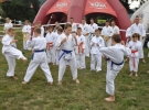 Pokaz Karate