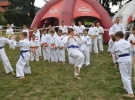 Pokaz Karate