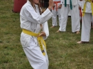 Pokaz Karate