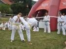Pokaz Karate