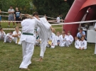 Pokaz Karate
