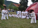 Pokaz Karate