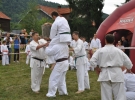 Pokaz Karate