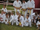 Pokaz Karate