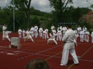 Pokaz Karate podczas Dnia Dziecka w Łososinie Górnej