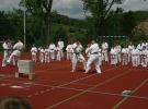 Pokaz Karate podczas Dnia Dziecka w Łososinie Górnej