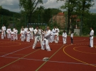 Pokaz Karate podczas Dnia Dziecka w Łososinie Górnej