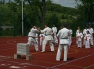 Pokaz Karate podczas Dnia Dziecka w Łososinie Górnej
