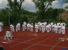 Pokaz Karate podczas Dnia Dziecka w Łososinie Górnej
