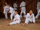 Pokaz Karate Pisarzowa