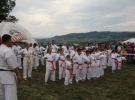 Pokaz Karate Pisarzowa